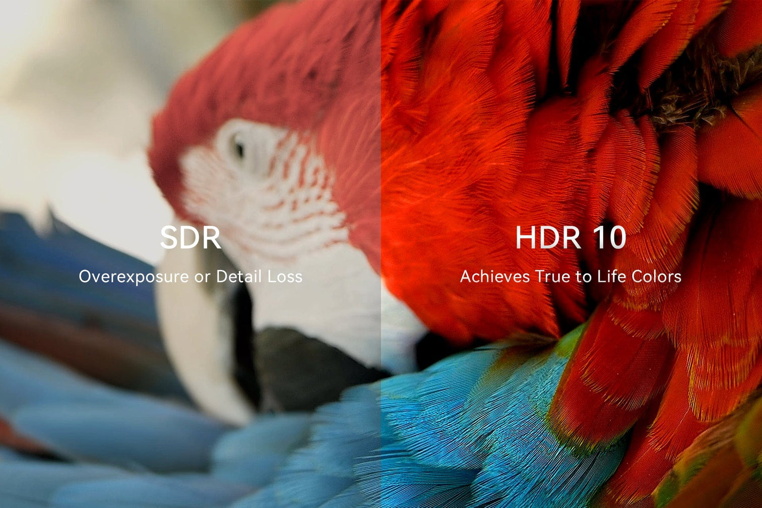 Trải nghiệm xem phim 4K trên Wanbo Mozart 1 Pro 2025