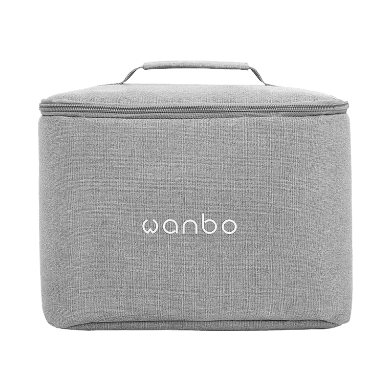 Wanbo T6 Max/ Wanbo T4/WanboT2/WanboX1 sac de projecteur pour Mini projecteur étui de rangement de protection Portable 