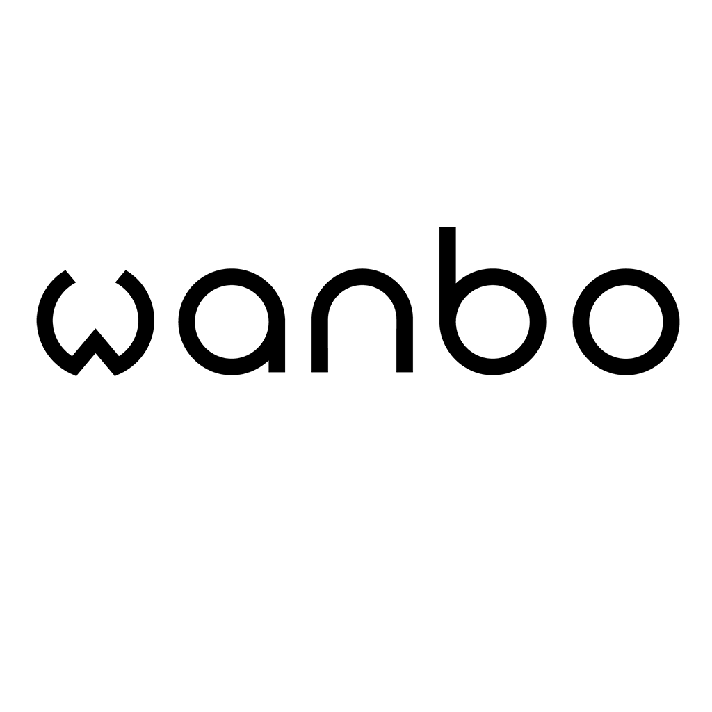 Wanbo  Projector Polarized Glass